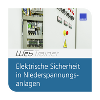 Die Elektrofachkraft – sicher arbeiten im Unternehmen