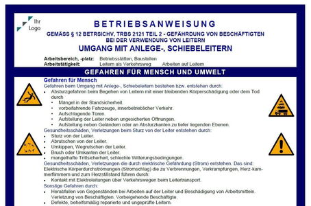 Betriebsanweisung für den Umgang mit Leitern