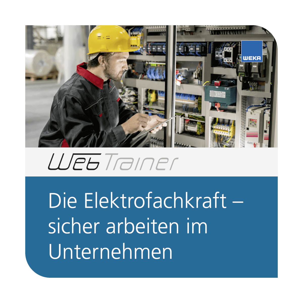 Die Elektrofachkraft sicher arbeiten im Unternehmen - Kurs