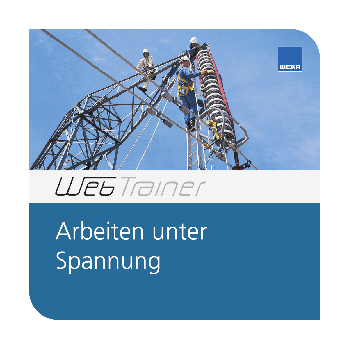 8432 Arbeiten unter Spannung